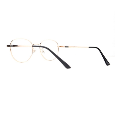PC Frame Sunglasses