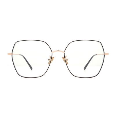 PC Frame Sunglasses