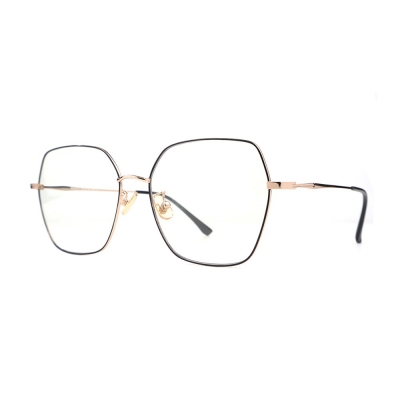 PC Frame Sunglasses