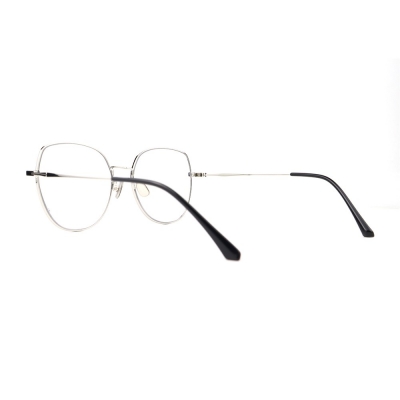 PC Frame Sunglasses