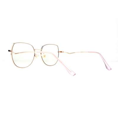 PC Frame Sunglasses