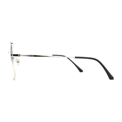 PC Frame Sunglasses