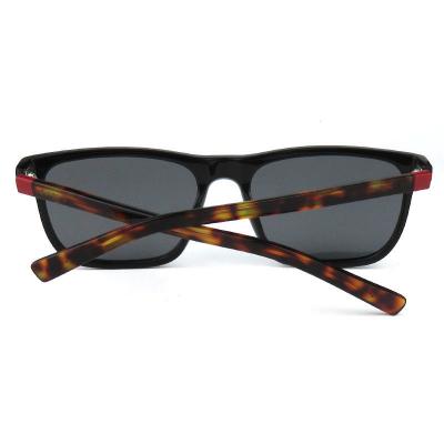 A10377-2 ACETATE