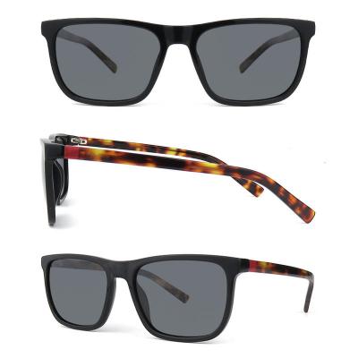 A10377-2 ACETATE