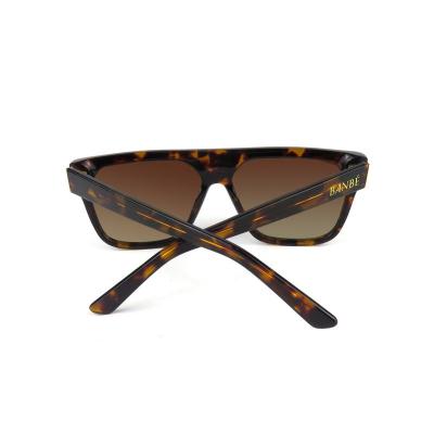 A10479-20 ACETATE
