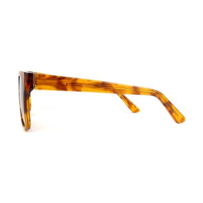 A10479-3 ACETATE