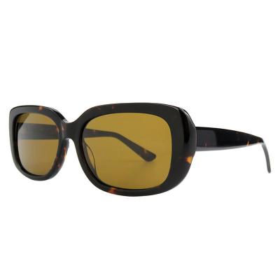 A10756(6) Women's Scratch Resistant purple Acetate Full Rim Square Modern Sunglasses Eyewear