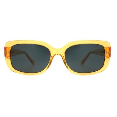 A10756(7) Women's Premium Quality purple Acetate Full Rim Square Modern Sunglasses Eyewear