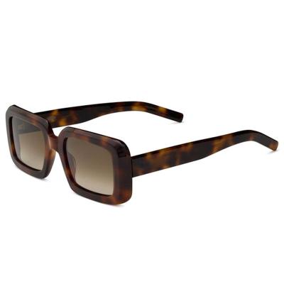 A10772(2) Women's Polarized crystal beige Acetate Full Rim Square Modern Sunglasses Eyewear