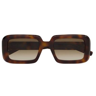 A10772(2) Women's Polarized crystal beige Acetate Full Rim Square Modern Sunglasses Eyewear