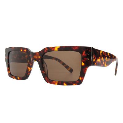A10812(1) Unisex Scratch Resistant tortoise Acetate Full Rim Square Modern Sunglasses Eyewear