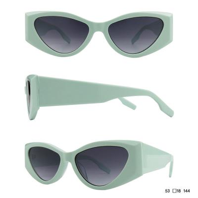 A10800(1) Women's UV400 Protection mint green Acetate Full Rim Cat Eye Modern Sunglasses Eyewear