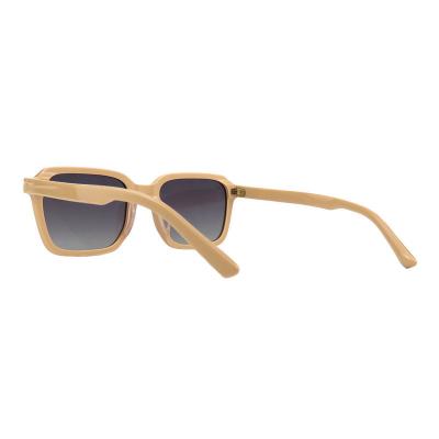 A10796(1) Unisex Premium Quality beige Acetate Full Rim Square Modern Sunglasses Eyewear