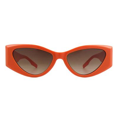 A10800(2) Women's Durable mint green Acetate Full Rim Cat Eye Modern Sunglasses Eyewear