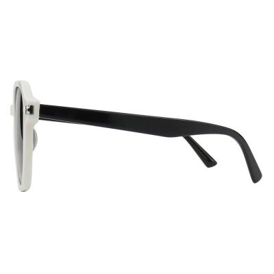 A10797(3) Unisex Durable olive green Acetate Full Rim Square Modern Sunglasses Eyewear