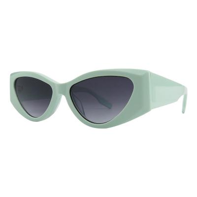 A10800(1) Women's UV400 Protection mint green Acetate Full Rim Cat Eye Modern Sunglasses Eyewear