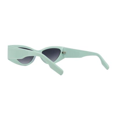 A10800(1) Women's UV400 Protection mint green Acetate Full Rim Cat Eye Modern Sunglasses Eyewear