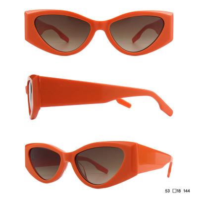 A10800(2) Women's Durable mint green Acetate Full Rim Cat Eye Modern Sunglasses Eyewear