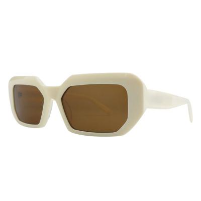 A10817(3) Women's Polarized tortoise Acetate Full Rim Geometric Modern Sunglasses Eyewear