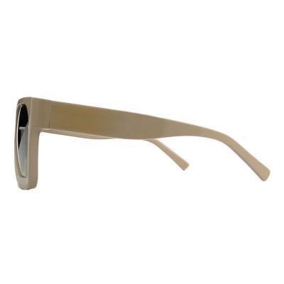 A10836(1) Unisex UV400 Protection taupe / beige Acetate Full Rim Square Modern Sunglasses Eyewear