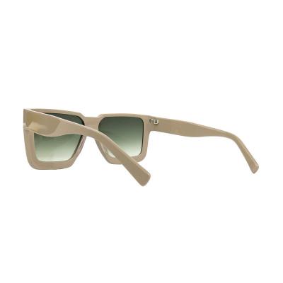 A10836(1) Unisex UV400 Protection taupe / beige Acetate Full Rim Square Modern Sunglasses Eyewear