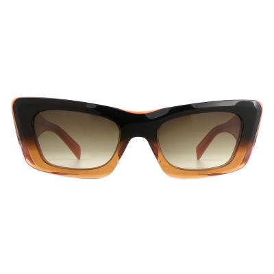A10848(2) Unisex Lightweight blue Acetate Full Rim Geometric Modern Sunglasses Eyewear