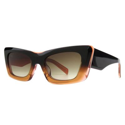 A10848(2) Unisex Lightweight blue Acetate Full Rim Geometric Modern Sunglasses Eyewear