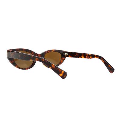 A10846(2) Women's Durable black Acetate Full Rim Cat Eye Modern Sunglasses Eyewear