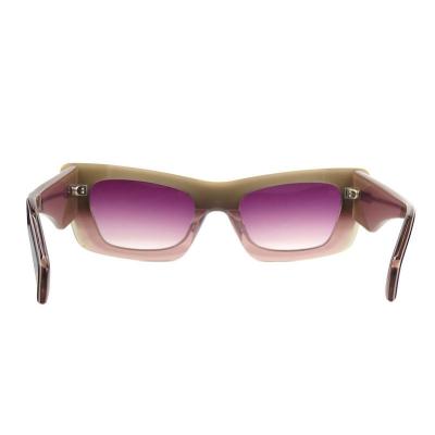 A10848(3) Unisex Polarized blue Acetate Full Rim Geometric Modern Sunglasses Eyewear