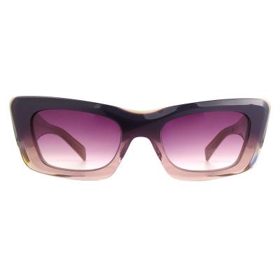 A10848(3) Unisex Polarized blue Acetate Full Rim Geometric Modern Sunglasses Eyewear