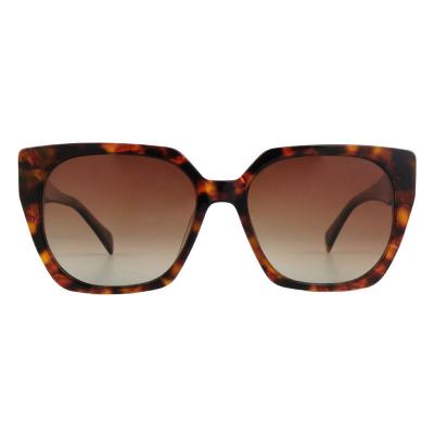 A10852(3) Women's Polarized black Acetate Full Rim Cat Eye Modern Sunglasses Eyewear