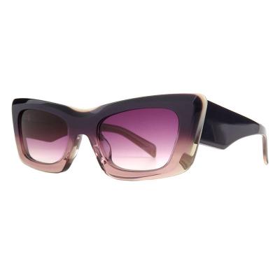 A10848(3) Unisex Polarized blue Acetate Full Rim Geometric Modern Sunglasses Eyewear