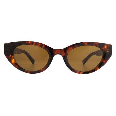 A10846(2) Women's Durable black Acetate Full Rim Cat Eye Modern Sunglasses Eyewear