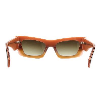 A10848(2) Unisex Lightweight blue Acetate Full Rim Geometric Modern Sunglasses Eyewear