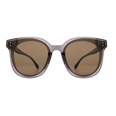 A10878(1) Unisex Spring Hinge crystal gray Acetate Full Rim Square Modern Sunglasses Eyewear