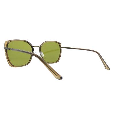 H10389(1) Women's Premium Quality olive/brown with gold accents Hybrid Full Rim Geometric Luxury Sunglasses Eyewear