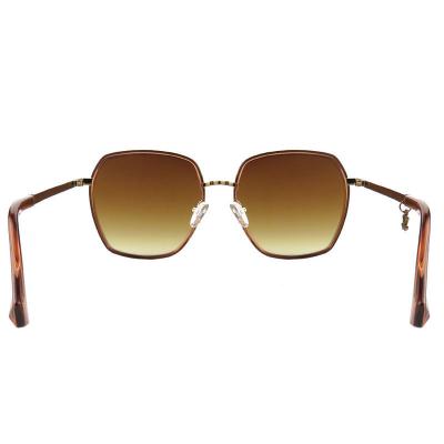 H10391(2) Women's Premium Quality black with gold accents Hybrid Full Rim Geometric Luxury Sunglasses Eyewear