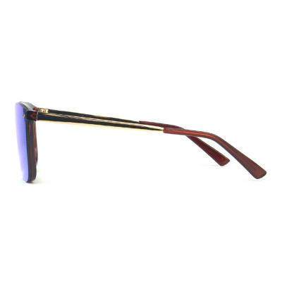 P10458 brown square pc/tr90 sunglasses