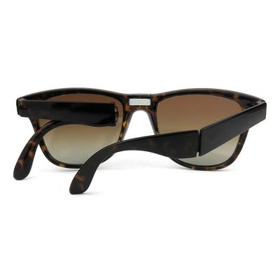 P10110 tortoise square pc/tr90 sunglasses