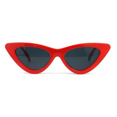 P10277 red cat eye pc/tr90 sunglasses