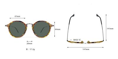 P10123 tortoise round pc/tr90 sunglasses