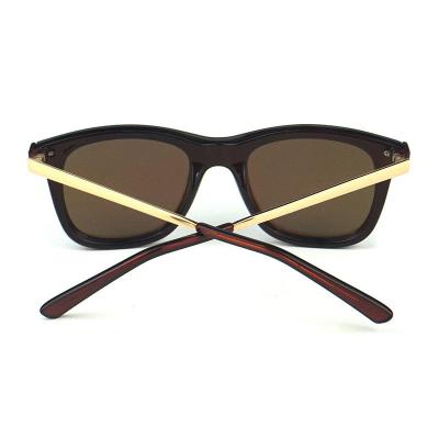 P10458 brown square pc/tr90 sunglasses