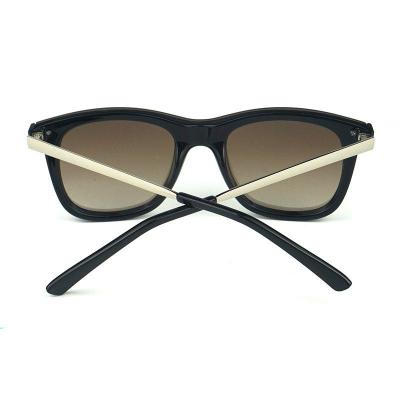 P10458 brown square pc/tr90 sunglasses