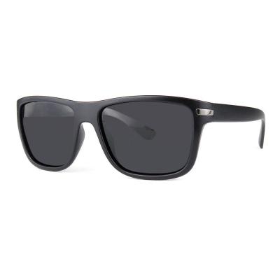 P10578 black square pc/tr90 sunglasses