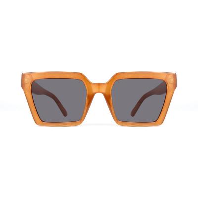P10604 brown square pc/tr90 sunglasses