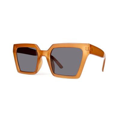 P10604 brown square pc/tr90 sunglasses