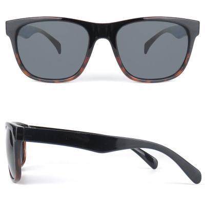P10624 tortoise wayfarer pc/tr90 sunglasses