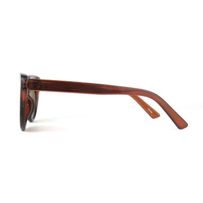 P10586 tortoise cat eye pc/tr90 sunglasses