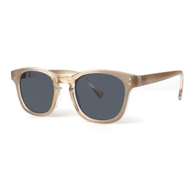 P10596 crystal amber wayfarer pc/tr90 sunglasses