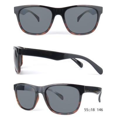 P10624 tortoise wayfarer pc/tr90 sunglasses